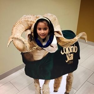 Meet your Posher, Jae